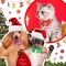 80 Pcs Christmas Dog Collar with Bow Snowman Snowflake Christmas Tree Pet Bowtie Collar Adjustable Xmas Cat Puppy Basic Neckties for Christmas Winter Holiday Pet Bow Grooming Accessories